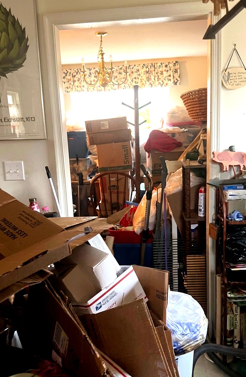 Hoarding cleanout — boxes stacked throughout living areas before Albemarle Moving crew Charlottesville VA