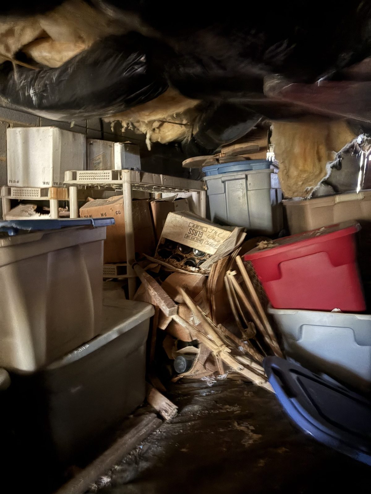 Basement Cleanout Crozet VA — Albemarle Moving