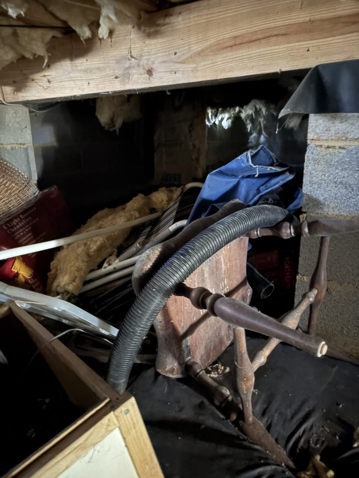 Crawl Space Cleanout in Charlottesville, VA — What's Down Th — Albemarle Moving and Junk Removal Charlottesville VA