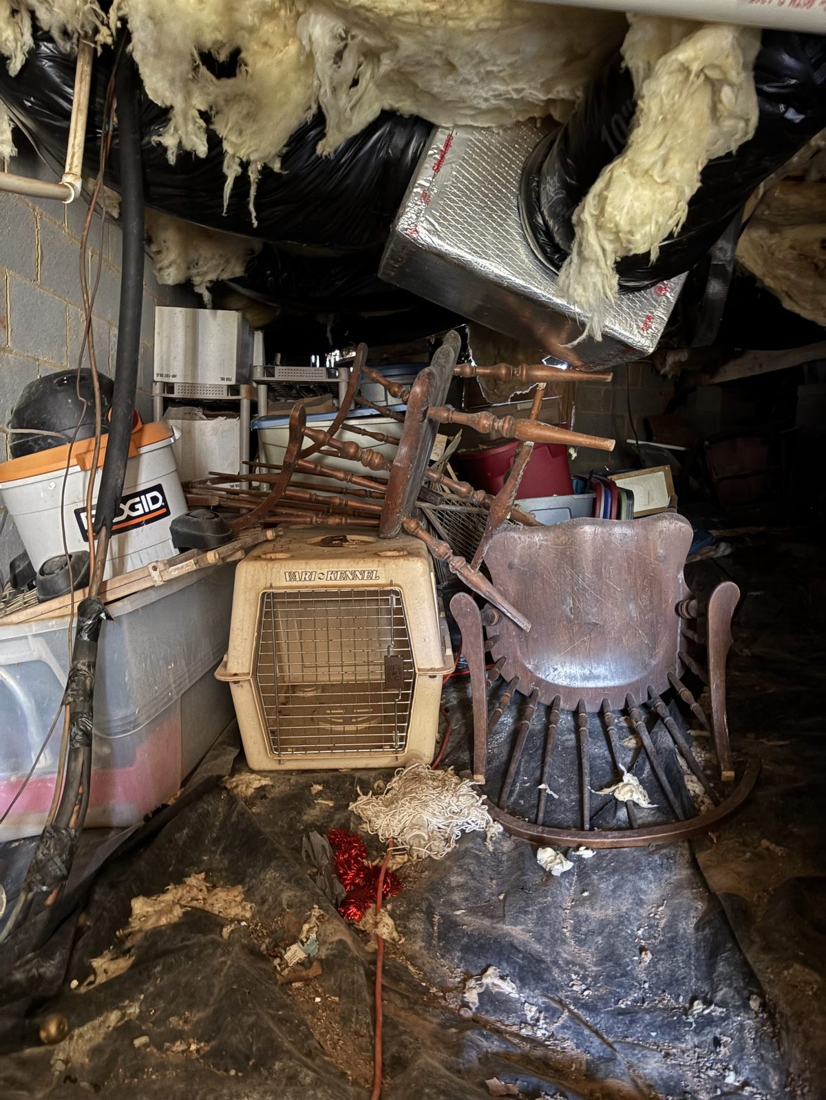 Crawl space cleared Charlottesville VA