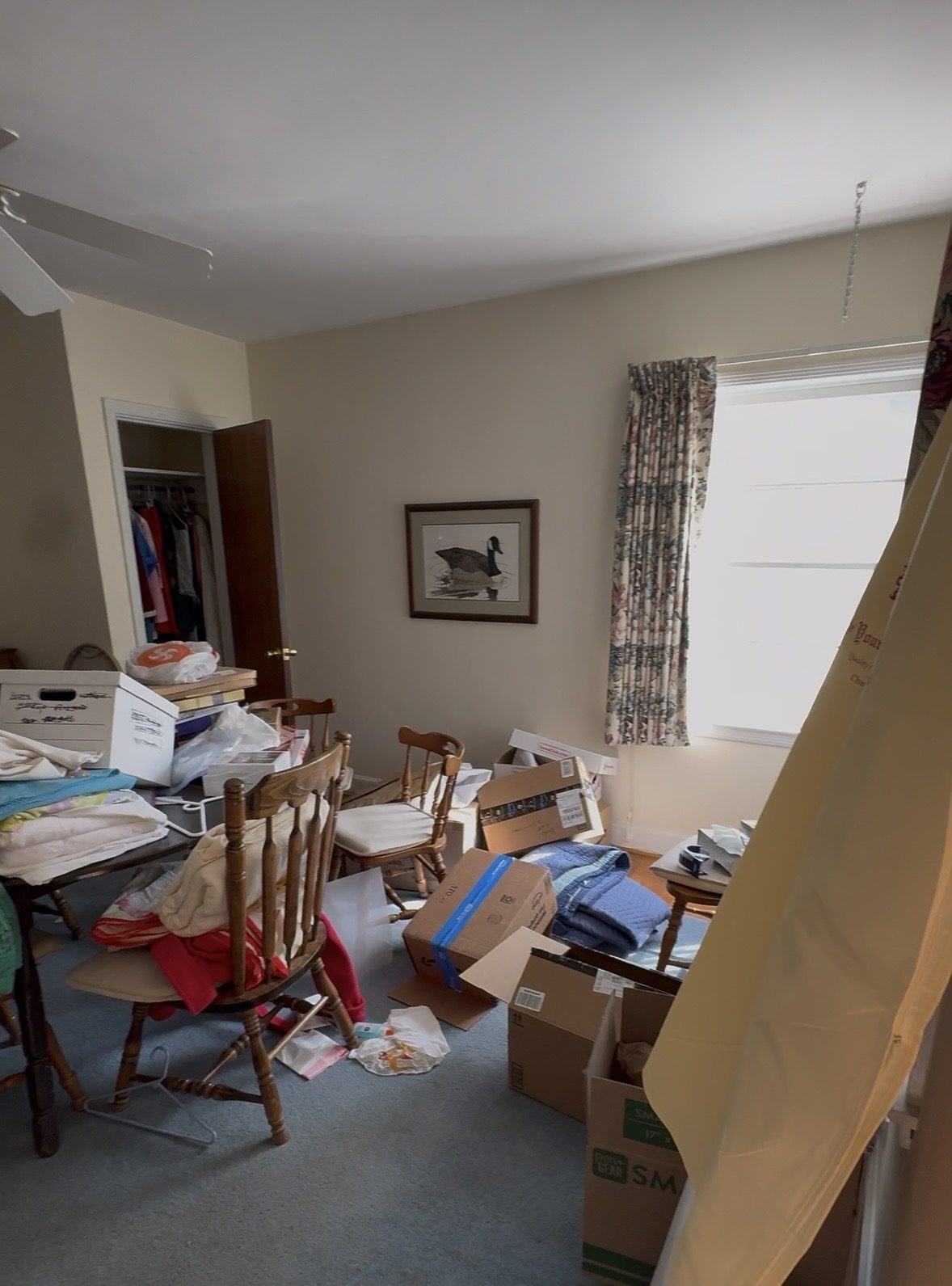 Estate cleanout bedroom Rugby Road area Charlottesville VA