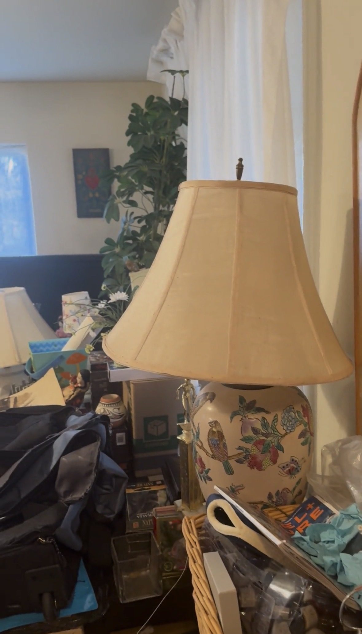 Hoarding cleanout in progress Charlottesville VA