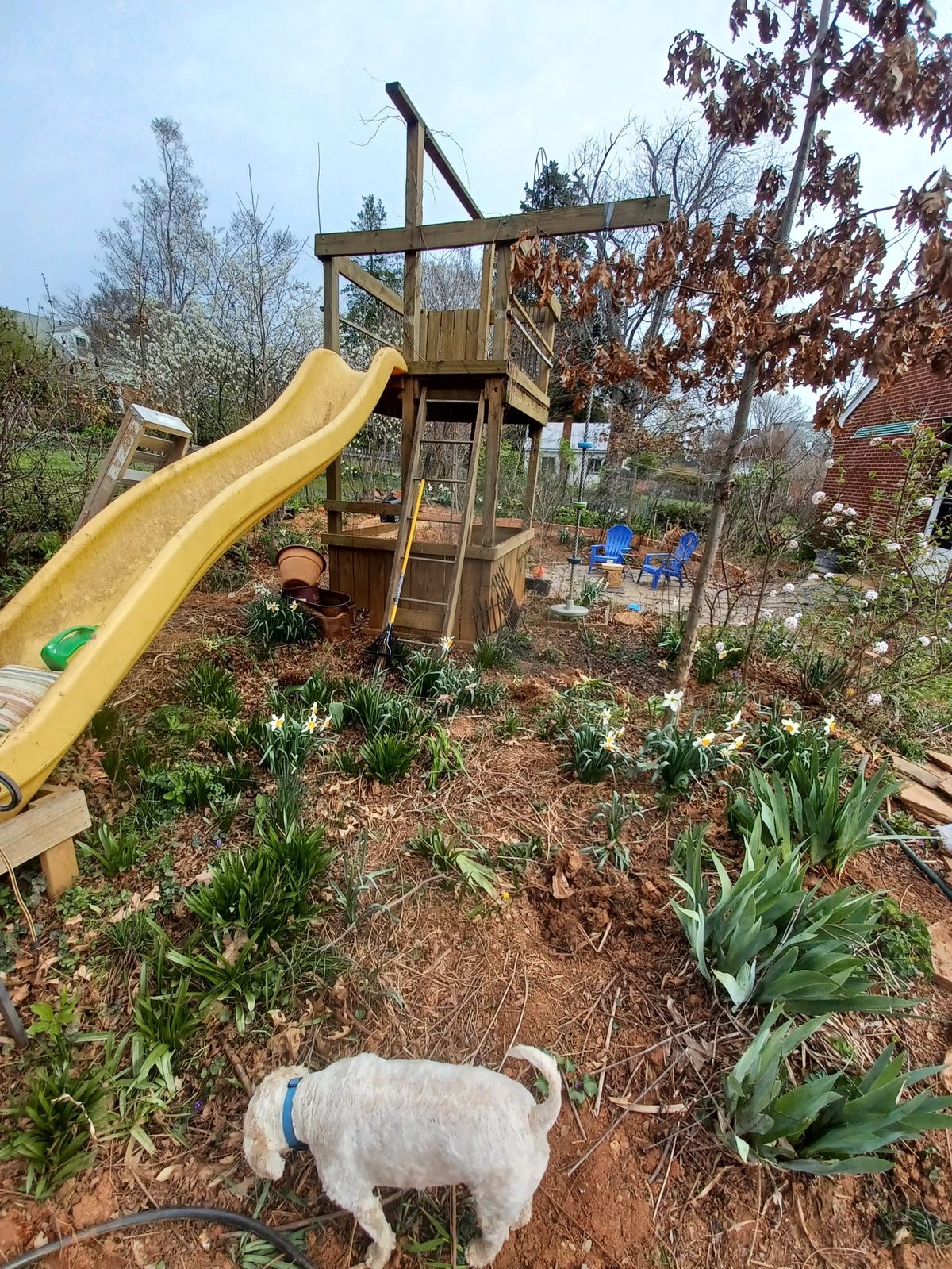 Playset and Trampoline Removal in Charlottesville, VA — — Albemarle Moving Charlottesville VA