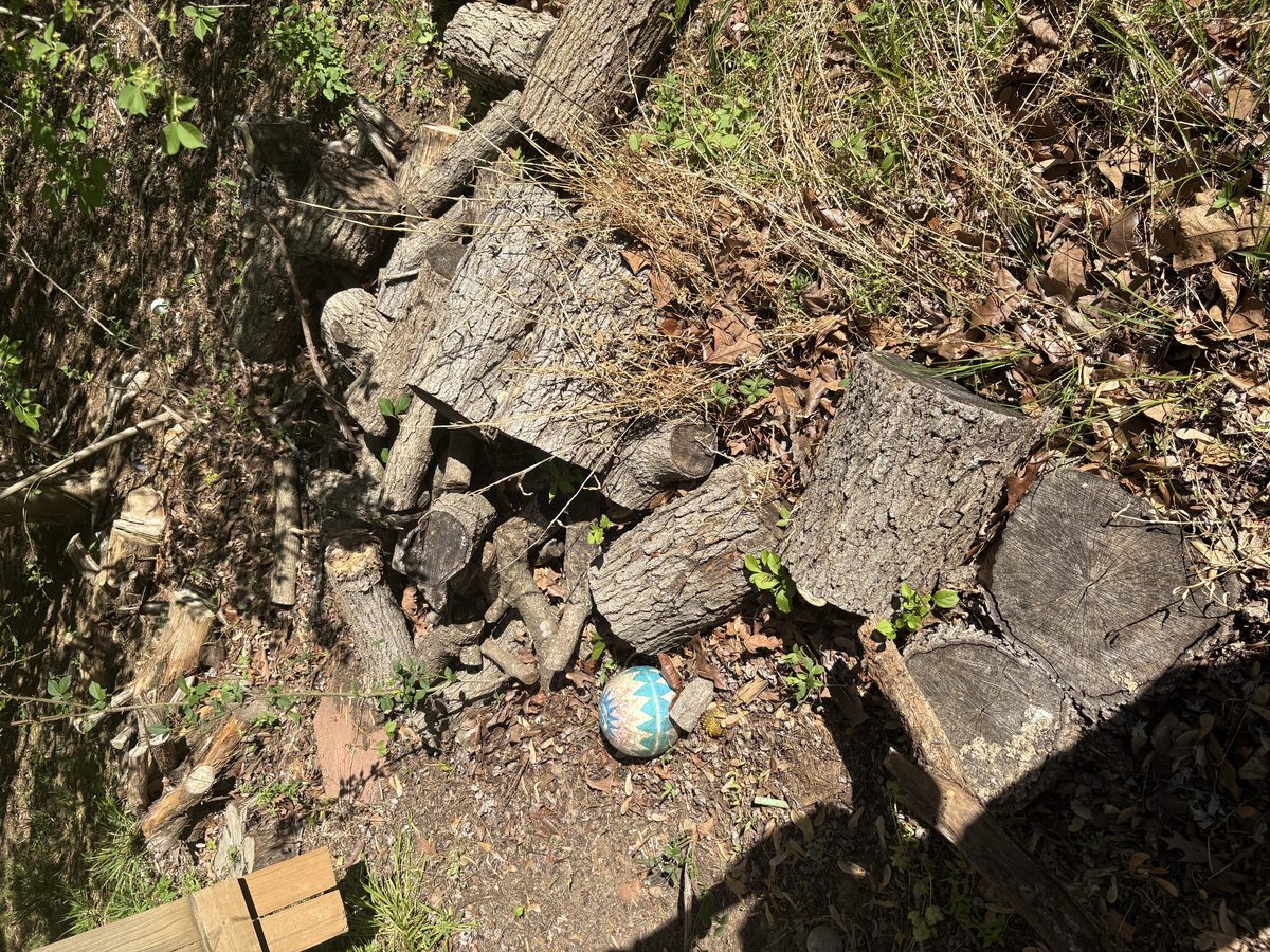 Large pile of logs yard debris removal Charlottesville VA
