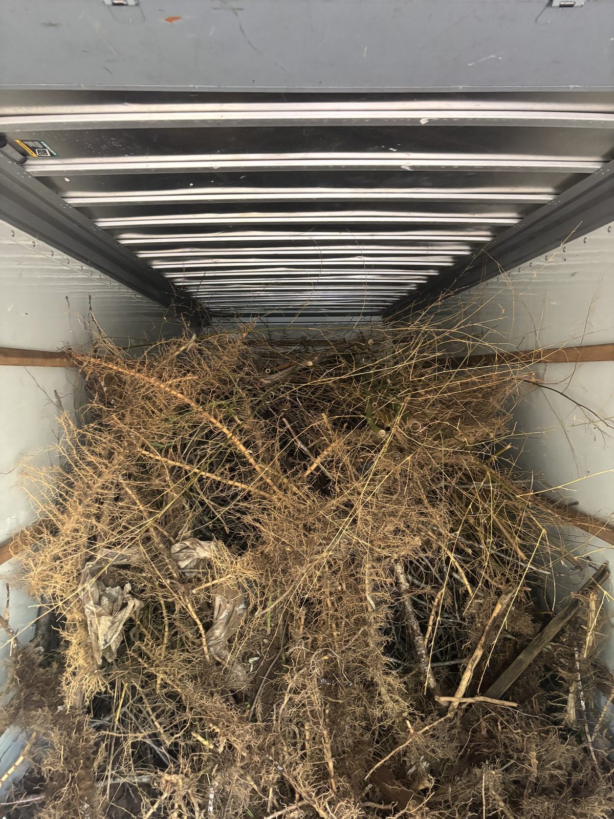 Yard debris removal Charlottesville VA — Albemarle Moving and Junk Removal Charlottesville VA