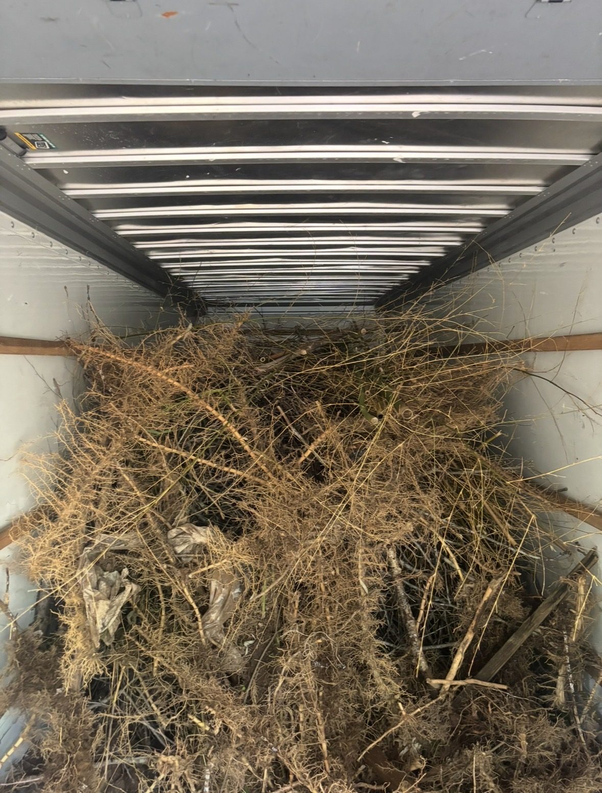 Playset and Trampoline Removal in Charlottesville, VA — — Albemarle Moving Charlottesville VA